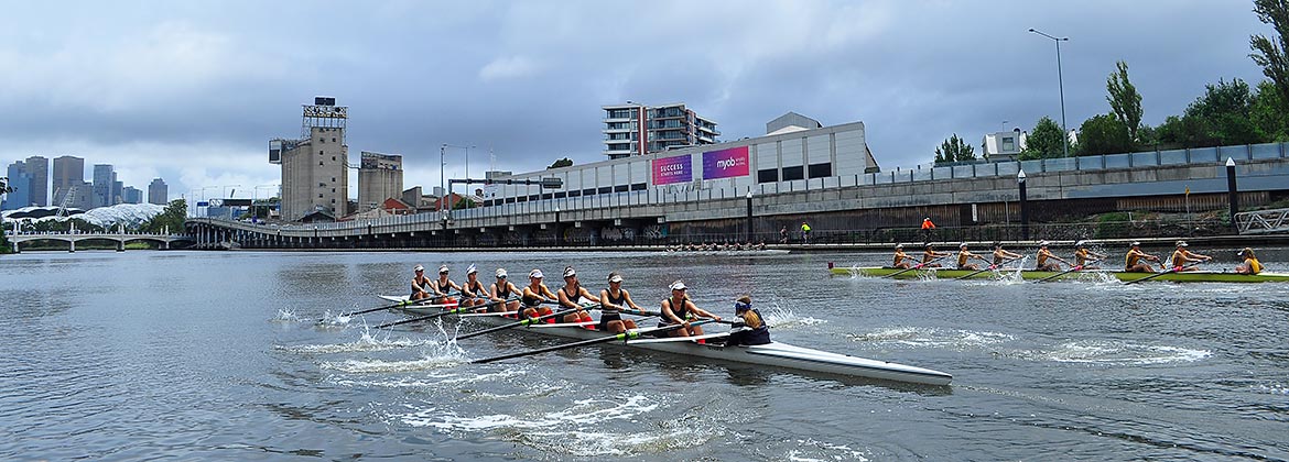 australian henley regatta rules